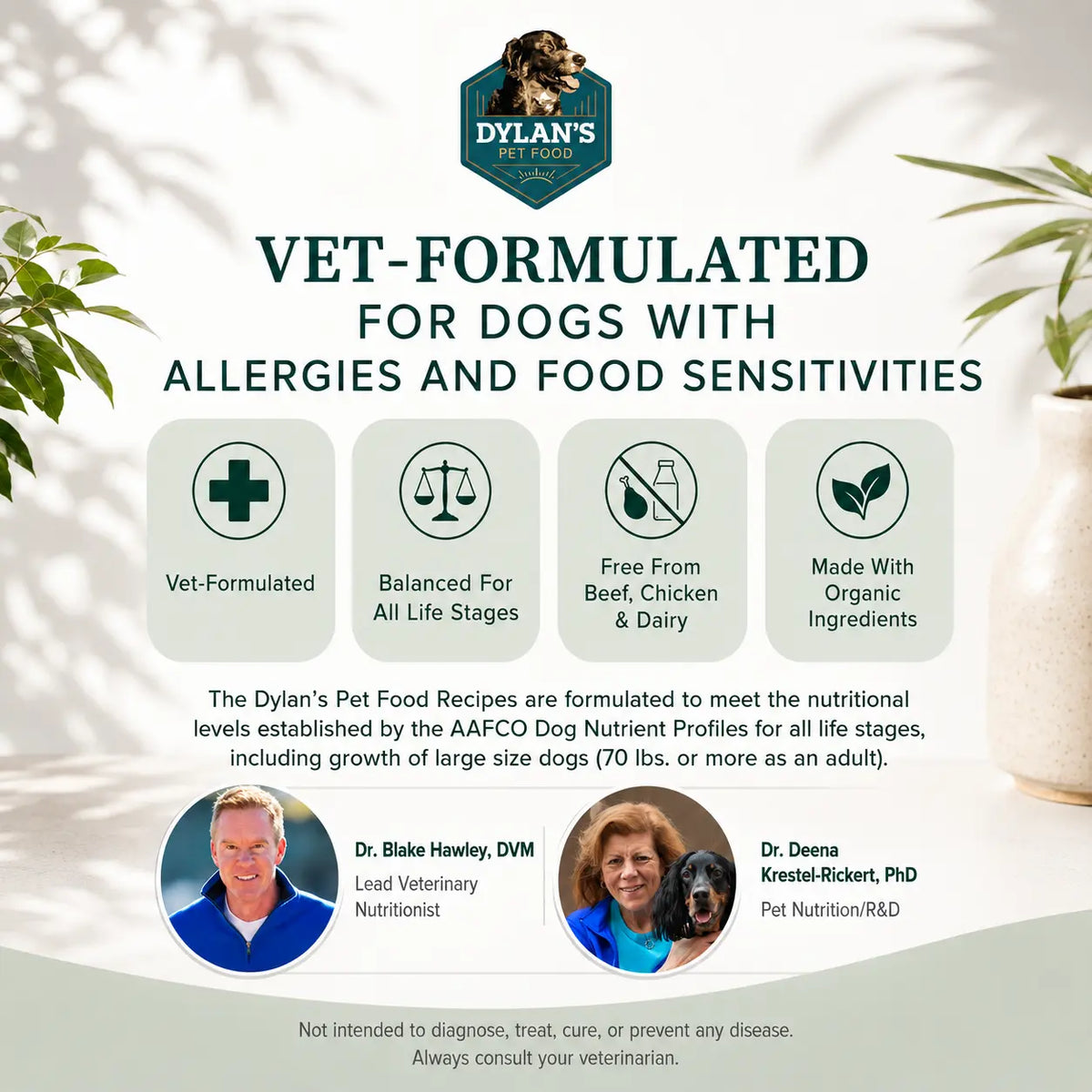Vet-formulated AAFCO complete allergy-friendly dog food — Chickpea Sample Pack