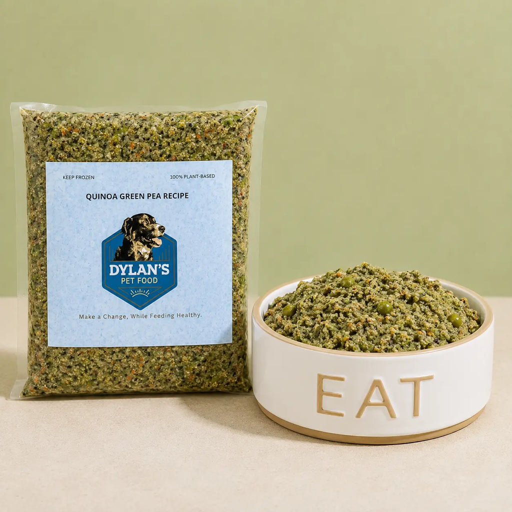 Quinoa Green Pea allergy-friendly dog food pouch and bowl for sensitive dogs