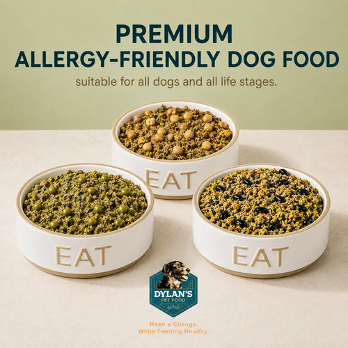 Premium allergy-friendly dog food bowls for sensitive dogs — Chickpea Sample Pack