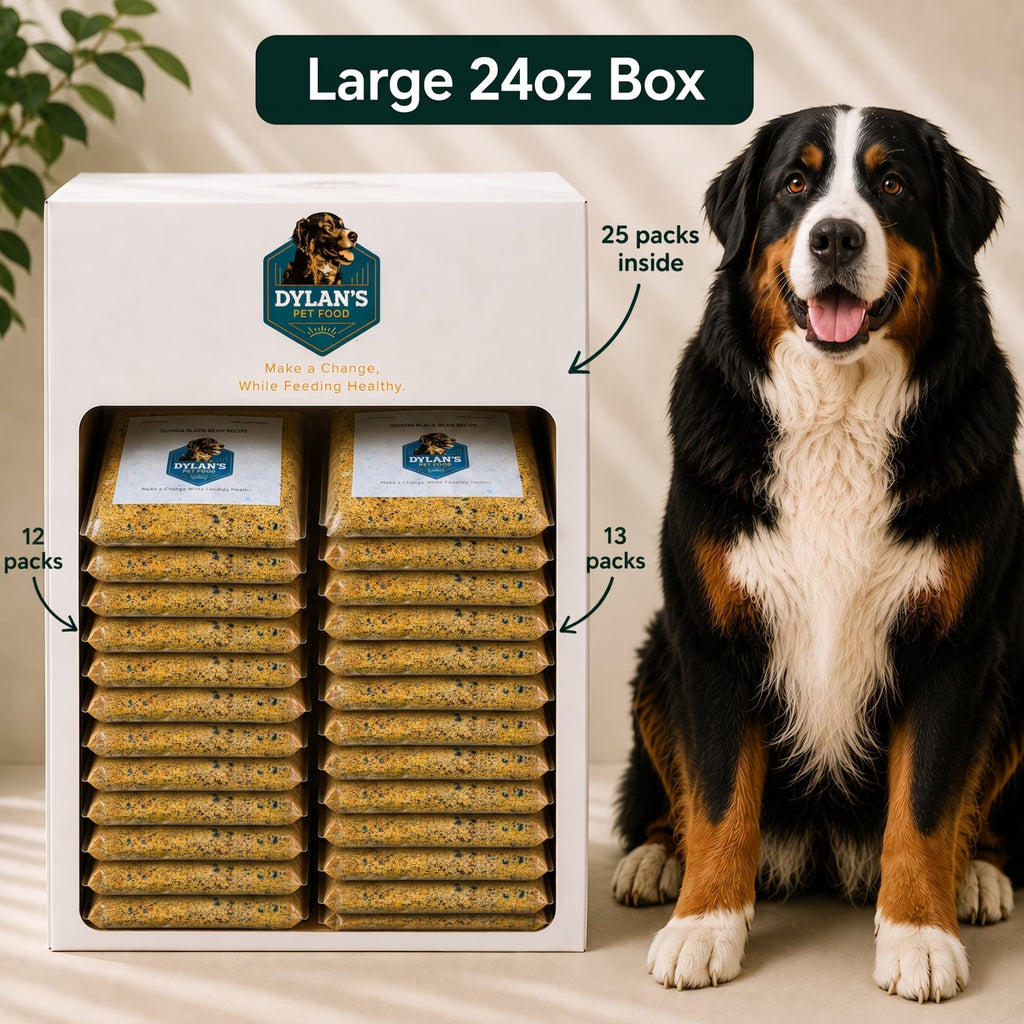 Allergy-friendly dog food for sensitive dogs — Large 24oz Box with 25 packs stacked inside