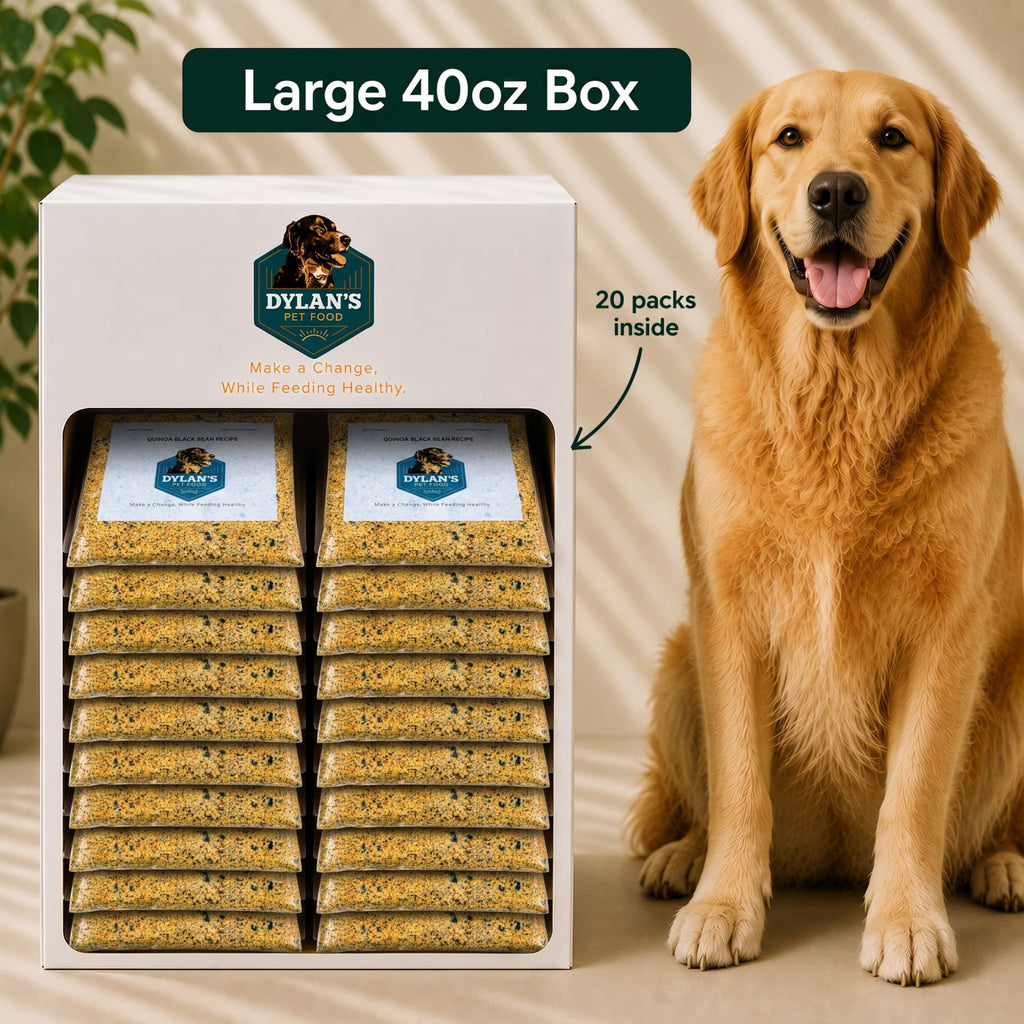 Allergy-friendly dog food for sensitive dogs — Large 40oz Box with 20 packs stacked inside