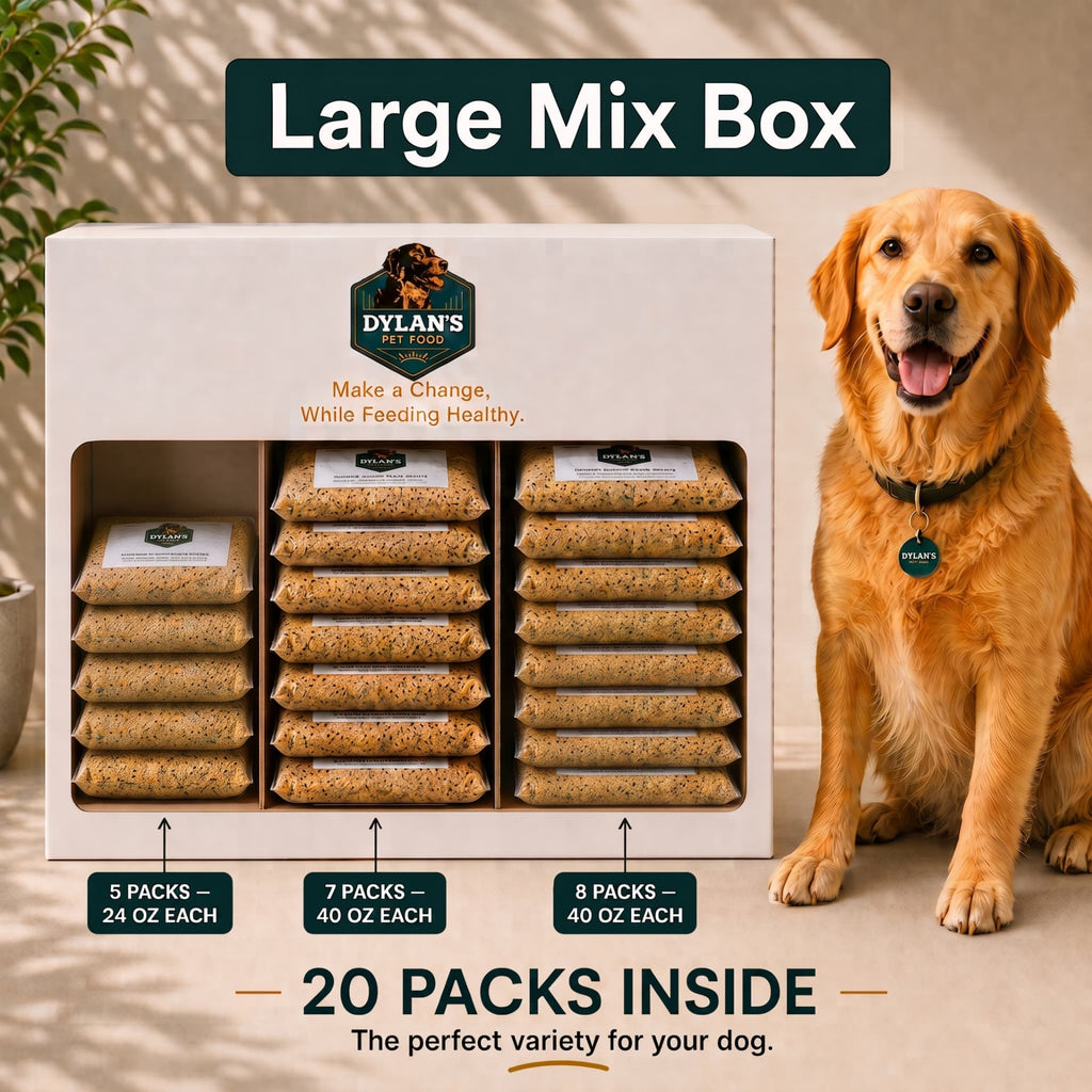 Allergy-friendly dog food for sensitive dogs — Large Mix Box with 20 packs inside