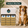Allergy-friendly dog food for sensitive dogs — Medium 40oz Box with 15 packs stacked inside