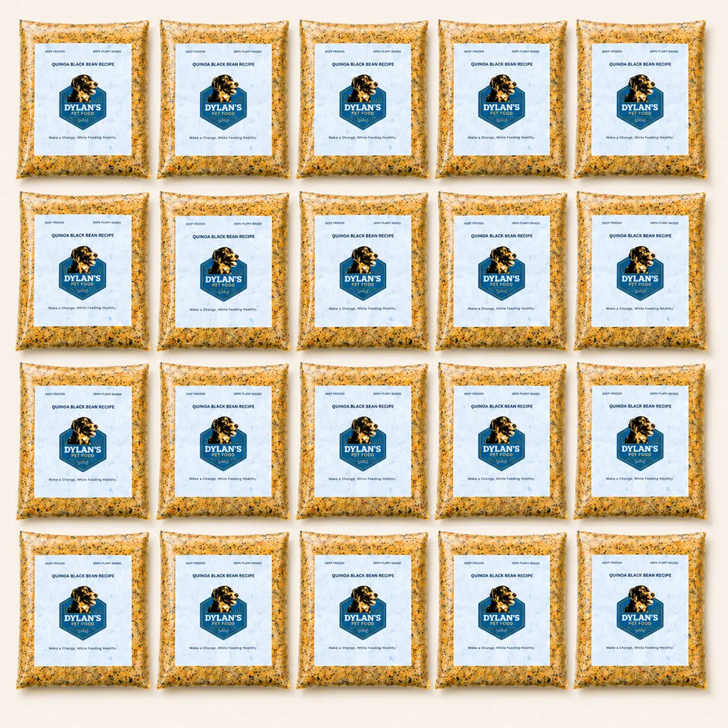 What's inside the Large 40oz Box — flat-lay of 20 40oz allergy-friendly dog food packs