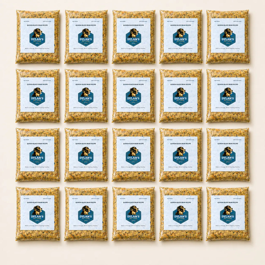 What's inside the Medium 24oz Box — flat-lay of 20 packs of allergy-friendly dog food