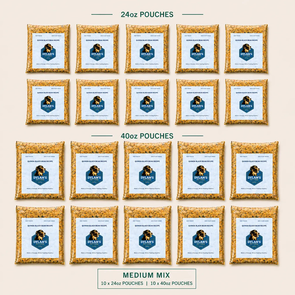 What's inside — flat-lay of 10× 24oz and 10× 40oz allergy-friendly dog food packs — Medium Mix Box