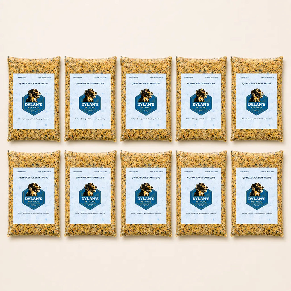 What's inside: flat-lay of 10 packs (40 oz each) of allergy-friendly dog food — Small 40oz Box