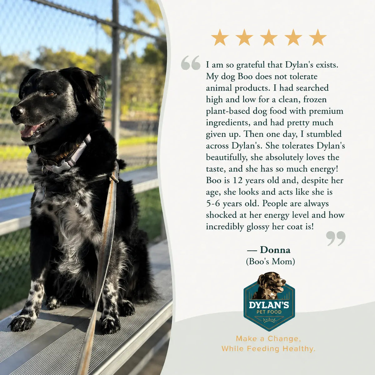 Customer review Donna and Boo — allergy-friendly dog food for sensitive dogs, Chickpea Sample Pack