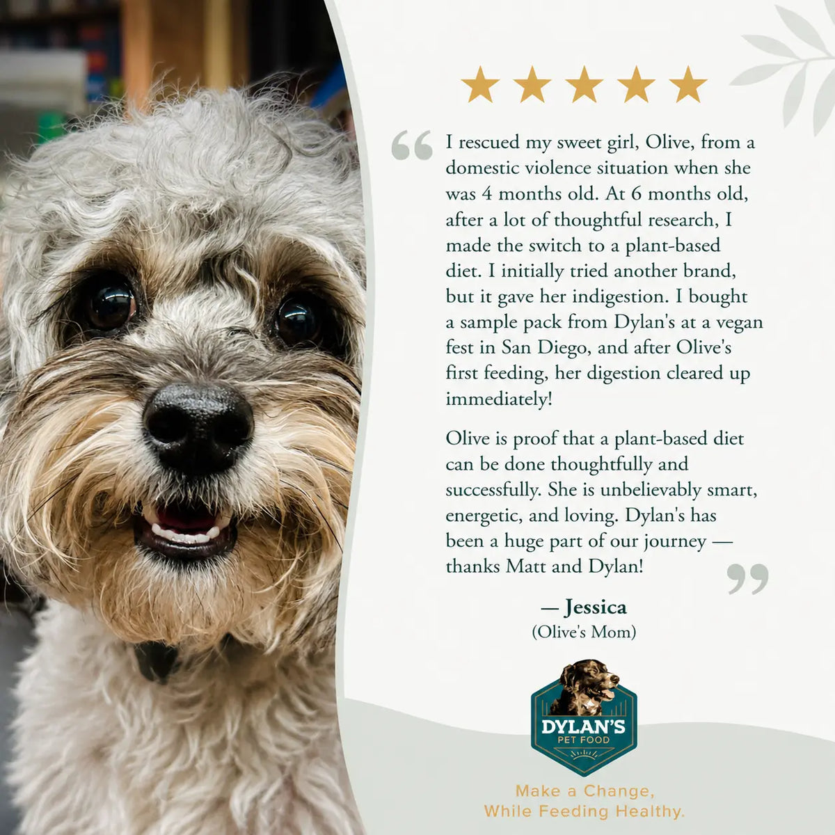 Customer review from Jessica and Olive — allergy-friendly dog food for sensitive dogs