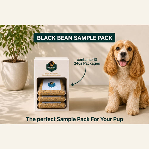 Allergy-friendly dog food for sensitive dogs — Black Bean Sample Pack with 3 x 24oz packs inside