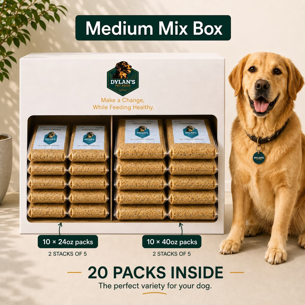 Allergy-friendly dog food for sensitive dogs — Medium Mix Box with 10× 24oz and 10× 40oz packs stacked inside