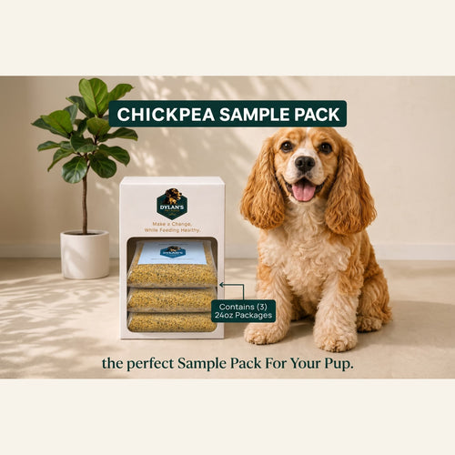 Allergy-friendly dog food for sensitive dogs — Chickpea Sample Pack box with packs inside